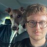 artur_wala's profile picture. co-founder @ qForge || ai tinkerers 🇵🇱       I let you build agents that don't block the main thread