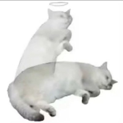 gibs0nboy's profile picture. 