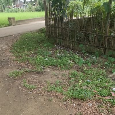 Batman39__'s profile picture. no bio