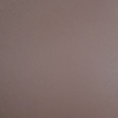 SahirN287315's profile picture. 