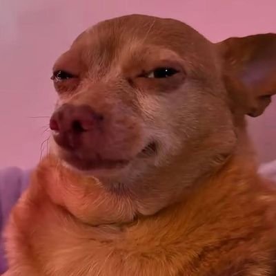 nortedem's profile picture. Skilled defenestrator|🎥 Movie/tv trailer connoisseur|
coffee house on 39th and lennox|
research consultant|
co-founder