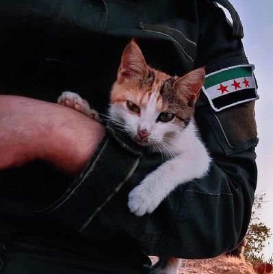 Homssyia's profile picture. (ولستُ أخشى رجوعَ الكفِّ خائبةً وأنت يامالكَ المُلكِ من يعطي)
كُن صالِحاً ناجِحاً مُصلِحاً
مسلمة عربية سورية حُمصية