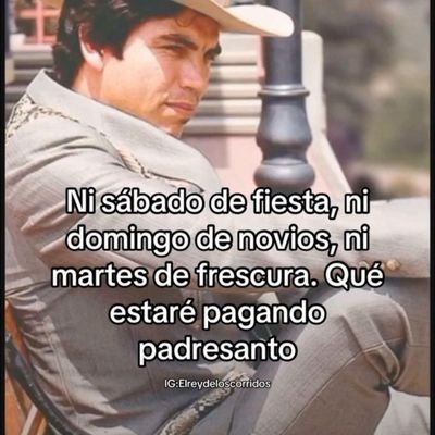 Visexual abierto a todo