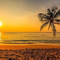 Ali Akbar (@aliakba25344324) 's Twitter Profile