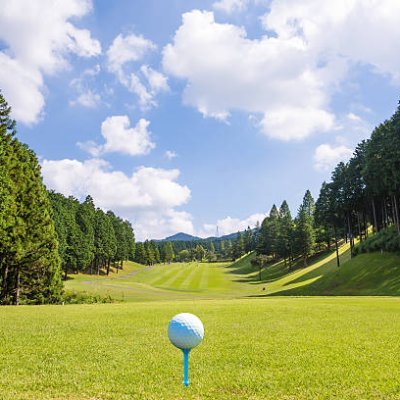 golfnaruo's profile picture. 早大政経卒の普通の会社員。ゴルフ、ラグビー、BMW、ゲーム、柴犬が好きです。40代でリタイアして遊びまくる為に必死で働いてます笑。ドイツ、シンガポール、インドネシア、中国に駐在していたので思考はグローバルのつもりですが、日本が1番良い国だと自信を持って言えます。だって無能でも働けてそこそこ稼げるんだよ日本って国は。
