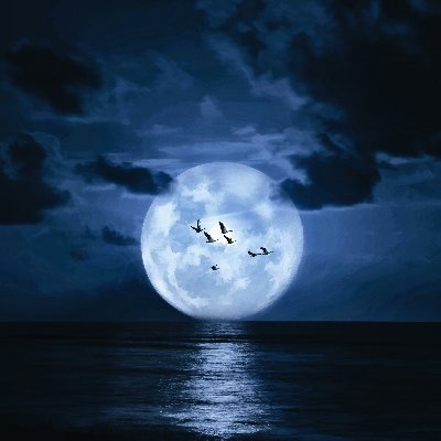 GianbcCharles's profile picture. You shouldn’t point out things about people’s appearances if they can’t fix it in ten seconds.