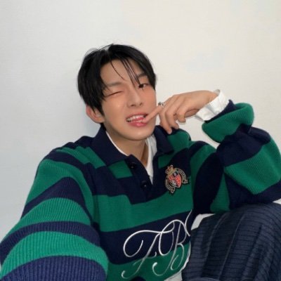 fhiabear_'s profile picture. seventeen ♡ treasure ♡ ahof ⊱⋆⊰ mainly #스티븐🦊