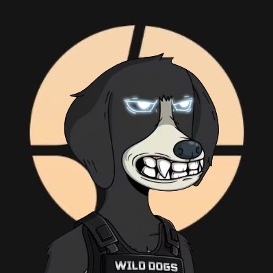 fjwalfurt's profile picture. Just a 23 yr old building on BNB 🔸 | Legacy Investment Partner