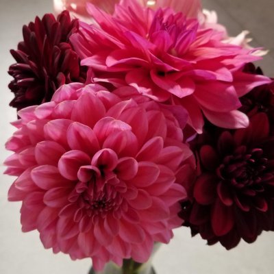 Anna_Belau's profile picture. Global Channel Marketing Manager @DellEMC. I enjoy #sports, #outdoors and #knitting. #IWork4Dell