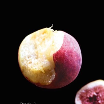 Rikaorigami's profile picture. 取引用アカウントです。お取引成立の場合、本アカご提示可能です。社会人。