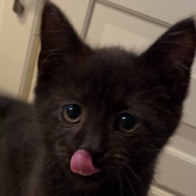 CryptoHWO's profile picture. Quantitative Analyst┃Jesus Is King ┃18 years old