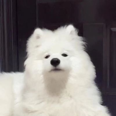 choimilk01's profile picture. 
