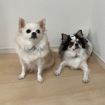 takafx0927's profile picture. 25歳。仮想通貨FXメイン 99%テクニカル ビットコイン、アルトコイン(フィボ・EMA ・水平線・トレンドライン・チャート形状)