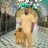 Mo_elzanaty96's profile image