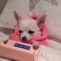 silversaury115's profile picture. 진짜구독만합니다아무것도안함오직구독계에요