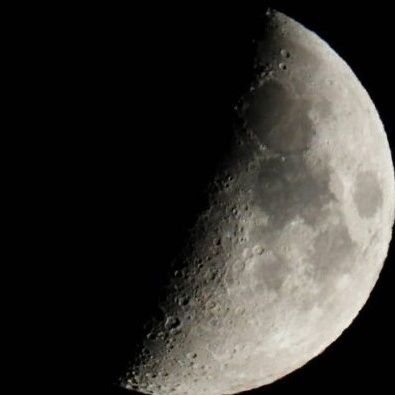 1125Dee's profile picture. 💚🪶🛡️