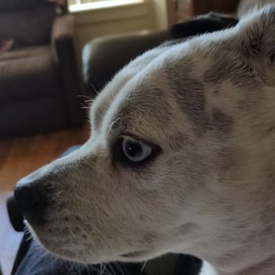 oladele5697's profile picture. am available for meet up and facetime😘🍆🍑
ain't here for games or bullshits