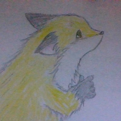 限定版ハニタマさんのプロフィール画像