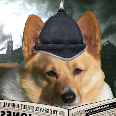 CorgiOutrider's profile picture. 