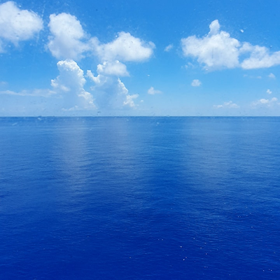 ClemenceNkouka's profile picture. 