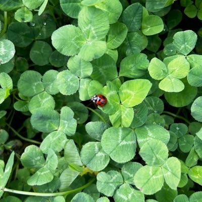 StqrqGjhD427672's profile picture. 無言フォロー失礼します。成人済/ROM専