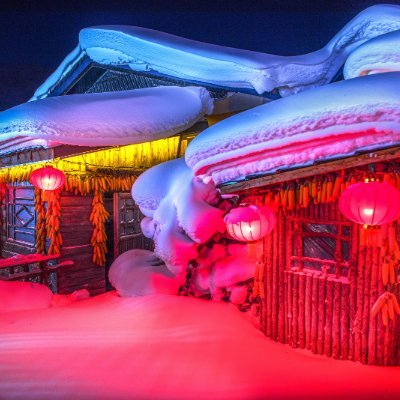 Youngboy553544's profile picture. 