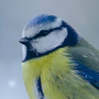 dEmon5422851198's profile picture. 