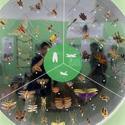 yamaguchiharu41's profile picture. walk