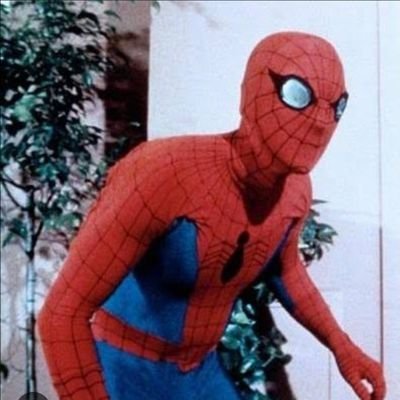 srivera1965's profile picture. Believer. Patriot. Trump Won 2020. Christ is KING.  MAGA. GO DAWGS.
🇺🇸🇵🇷✝️