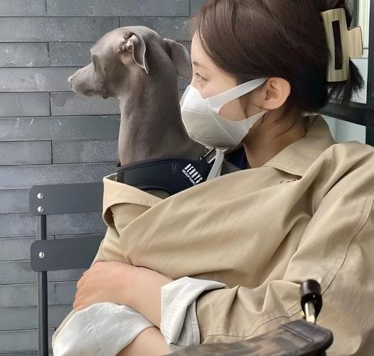 LaurentLune's profile picture. https://t.co/BD9VfUasyM❤️个人兼职02年刚入推❤️ 可上门 清纯颜值天花板前凸后翘皮肤白嫩腰细腿长蜜桃臂吻69极度配合约的哥哥加电报 https://t.co/BD9VfUasyM