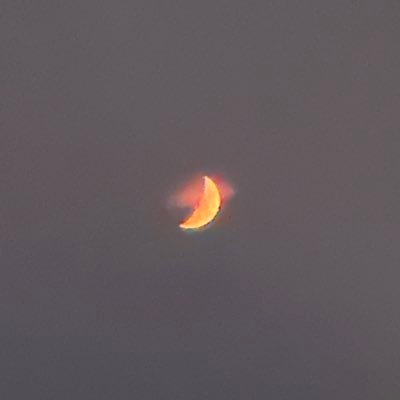 CHNchen999's profile picture. 