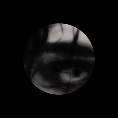 SOMBERDHAMPHYR's profile picture. ㅤ     𝗡𝗔𝗧𝗛𝗔𝗡𝗜𝗘𝗟 𝗠. 𝗧𝗘𝗣𝗘𝗦 : between human and vampire. youngest born of dracula and lisa — the traveling doctor from wallachia.