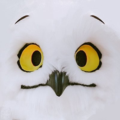 AYUL_FUR's profile picture. ❄️🦉❄️