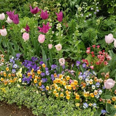 im1962231880's profile picture. 明るい家庭を目指してます。