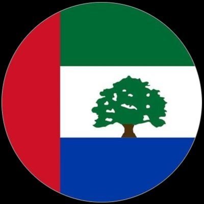 Murad0q's profile picture. 