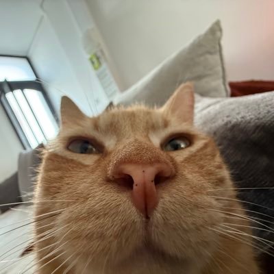 comaubs's profile picture. 