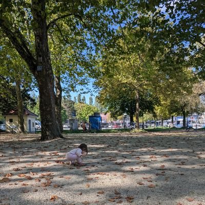 suisui_travel's profile picture.
