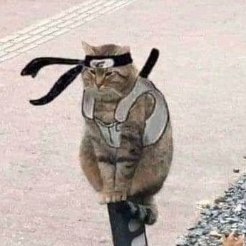 afkaczz's profile picture. 