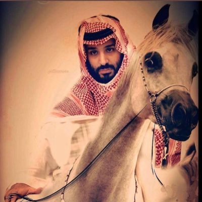 alkood2030's profile picture. أسعد مكتئب ، واكبر اجتماعي منعزل ، أذكى متغابي ، وأعقد شخص محبوب ..