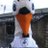 Aled 🦢🏴󠁧󠁢󠁷󠁬󠁳󠁿 🇭🇷🐶