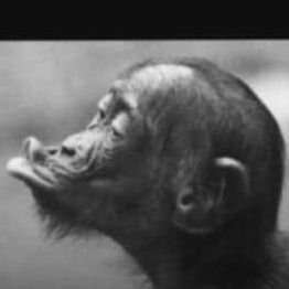 DanielL62192184's profile picture. Just living accountability