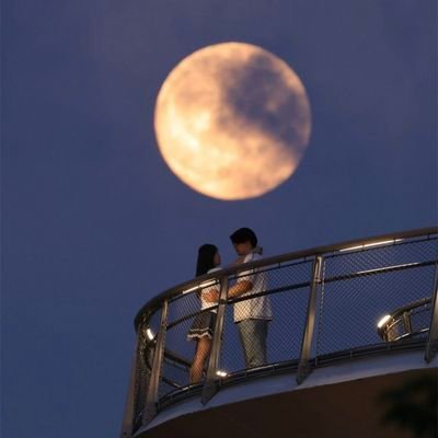 ychun84693470's profile picture. 
