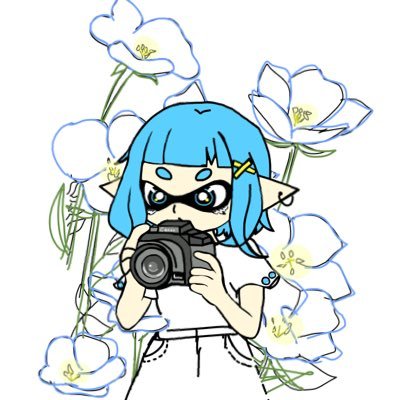 Hashibiro0938's profile picture. 綺麗に月と星空を撮りたい