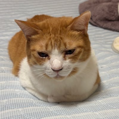 DRhhyKa3aysiApZ's profile picture. 07男子だよー いわき駅か郡山駅で会える