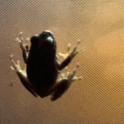 5KUsjSjS1L47060's profile picture. 千葉の真ん中らへん。もう世間ではおじさん領域か〜〜