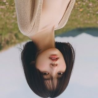 asukashark's profile picture. 粉蛆黄俄就是马列苏俄殖畜！