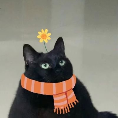 _lilith87's profile picture. Cancer ♋️