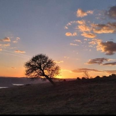 foolseg's profile picture. Noldu  namin şanın oldumu piç ?