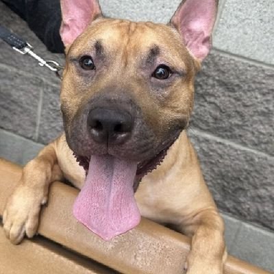 ChristineWareha's profile picture. 