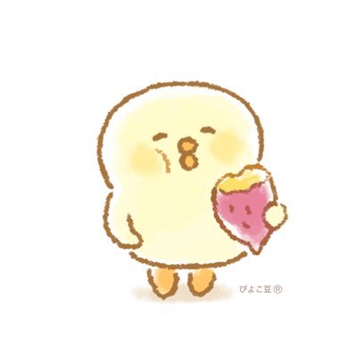 ぱじまさんのプロフィール画像